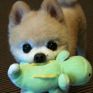 Meet your Posher, James